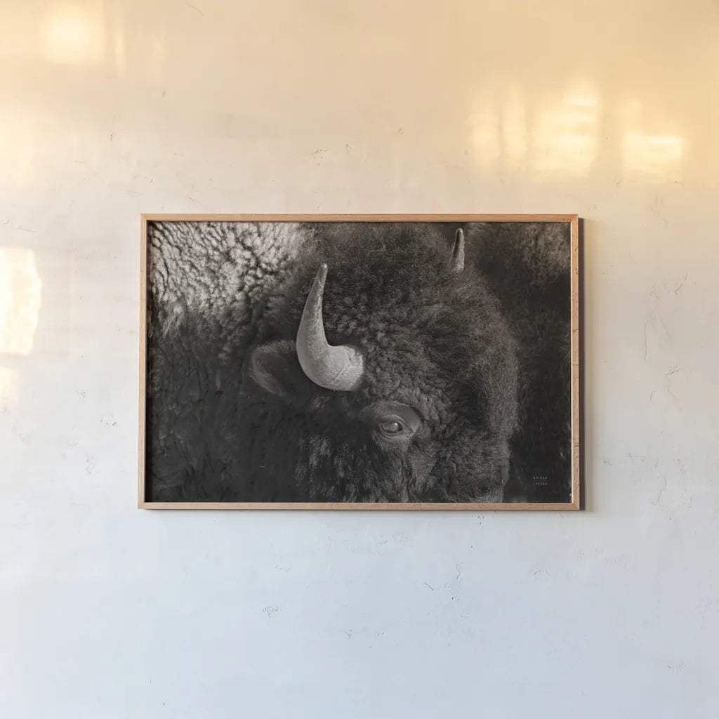 Bison BW by Nathan Larson. shown as a paper print in a natural frame. Available as a archival giclee rolled canvas, fine art paper, or poster print. SKU 84260i.
