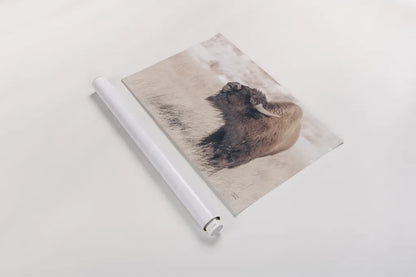 Bison Call by Nathan Larson. shown as a rolled paper print. Available as archival giclee rolled canvas, fine art paper, or poster print. SKU 84257i.