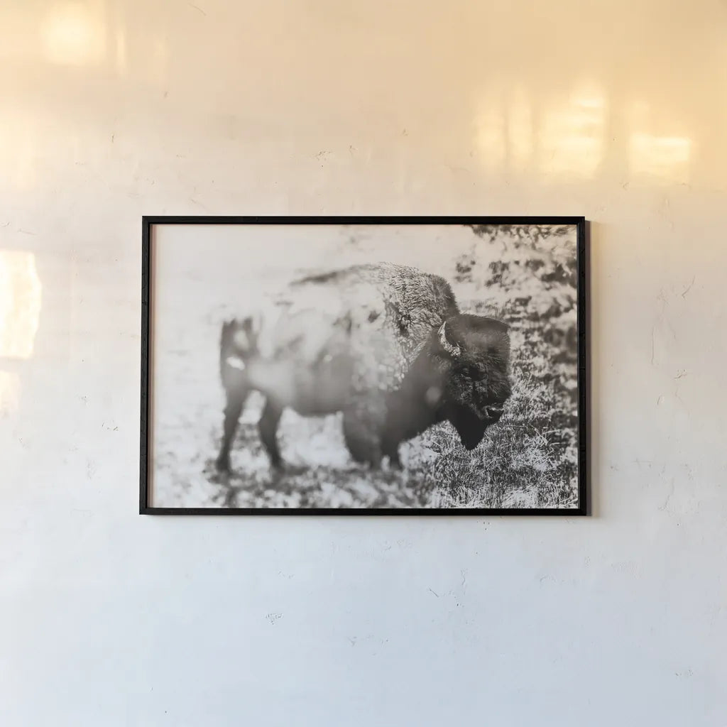 Bison Dream by Nathan Larson. shown as a paper print in a black flame. Available as a archival giclee rolled canvas, fine art paper, or poster print. SKU 92543i.