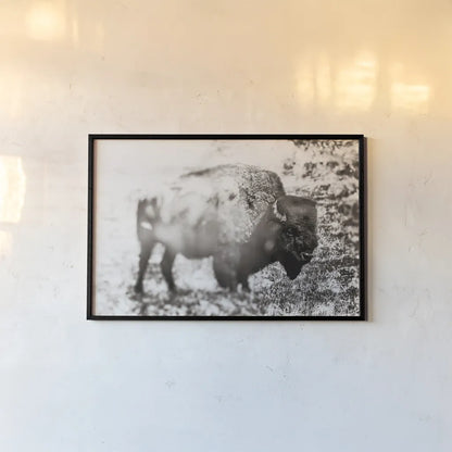 Bison Dream by Nathan Larson. shown as a paper print in a black flame. Available as a archival giclee rolled canvas, fine art paper, or poster print. SKU 92543i.