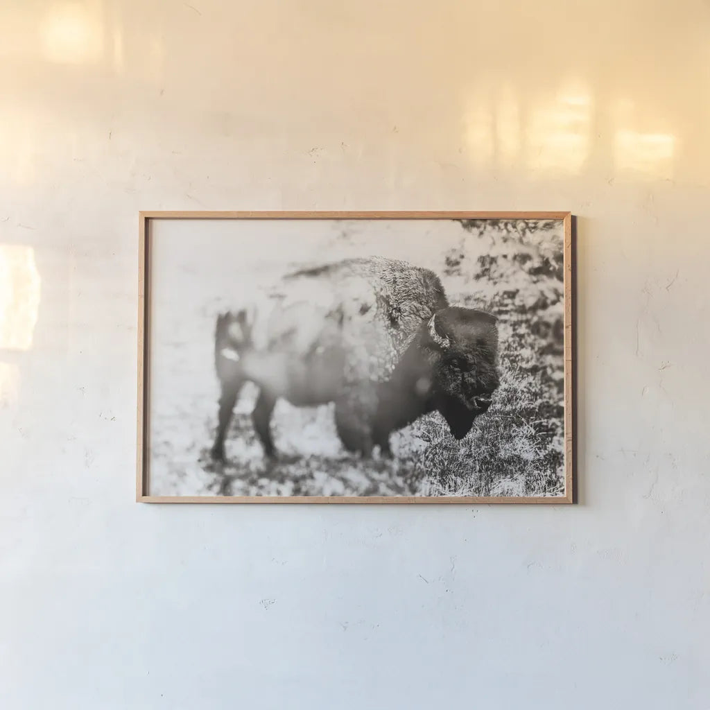 Bison Dream by Nathan Larson. shown as a paper print in a natural frame. Available as a archival giclee rolled canvas, fine art paper, or poster print. SKU 92543i.