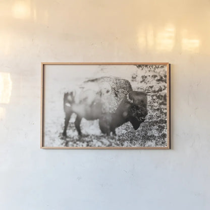 Bison Dream by Nathan Larson. shown as a paper print in a natural frame. Available as a archival giclee rolled canvas, fine art paper, or poster print. SKU 92543i.
