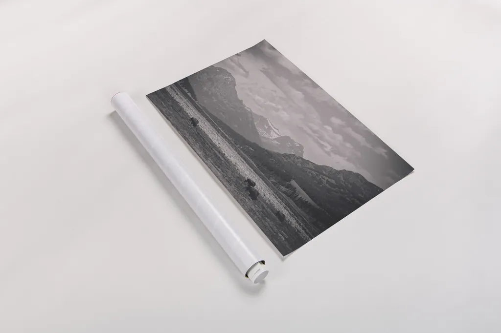 Bison Homeland by Nathan Larson. shown as a rolled paper print. Available as archival giclee rolled canvas, fine art paper, or poster print. SKU 92470i.