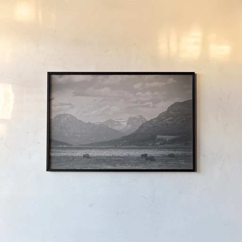 Bison Homeland by Nathan Larson. shown as a paper print in a black flame. Available as a archival giclee rolled canvas, fine art paper, or poster print. SKU 92470i.