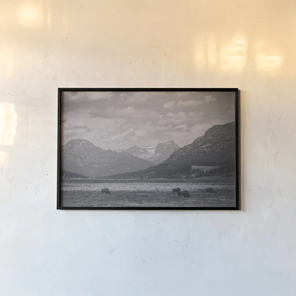 Bison Homeland by Nathan Larson. shown as a paper print in a black flame. Available as a archival giclee rolled canvas, fine art paper, or poster print. SKU 92470i.