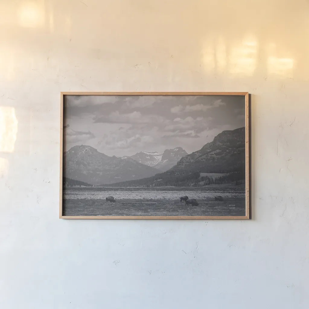 Bison Homeland by Nathan Larson. shown as a paper print in a natural frame. Available as a archival giclee rolled canvas, fine art paper, or poster print. SKU 92470i.