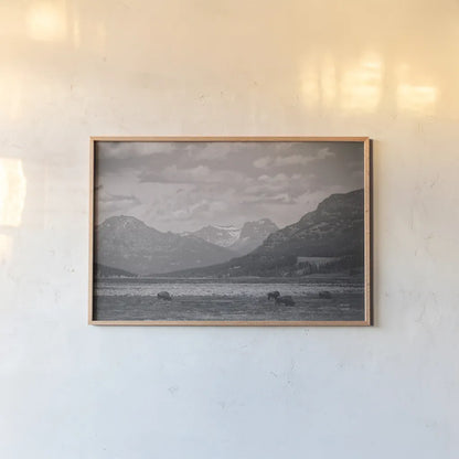 Bison Homeland by Nathan Larson. shown as a paper print in a natural frame. Available as a archival giclee rolled canvas, fine art paper, or poster print. SKU 92470i.