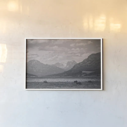 Bison Homeland by Nathan Larson. shown as a paper print in a white frame. Available as a archival giclee rolled canvas, fine art paper, or poster print. SKU 92470i.