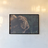 Bison Meditation by Nathan Larson. shown as a paper print in a black flame. Available as a archival giclee rolled canvas, fine art paper, or poster print. SKU 92725i.