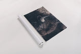 Bison Neutral by Nathan Larson. shown as a rolled paper print. Available as archival giclee rolled canvas, fine art paper, or poster print. SKU 84261i.