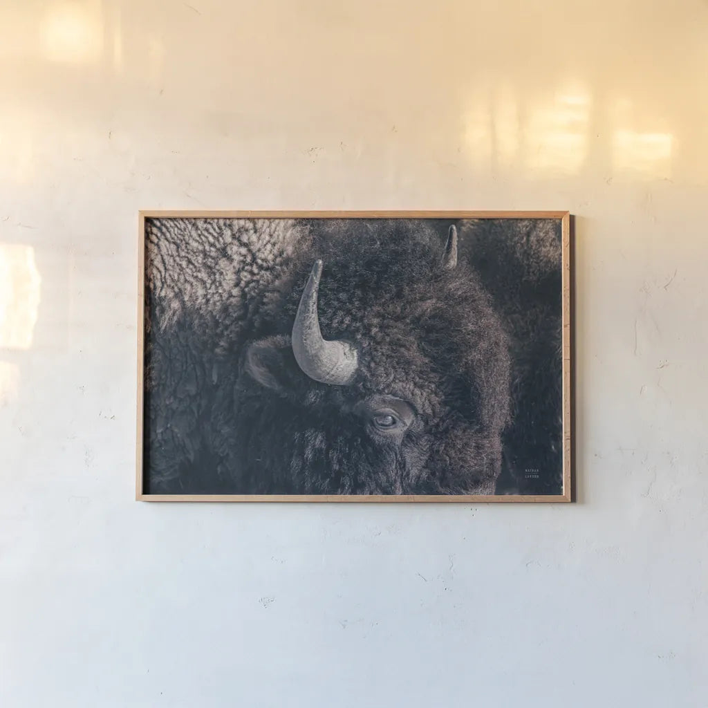 Bison Neutral by Nathan Larson. shown as a paper print in a natural frame. Available as a archival giclee rolled canvas, fine art paper, or poster print. SKU 84261i.