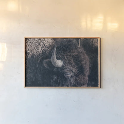 Bison Neutral by Nathan Larson. shown as a paper print in a natural frame. Available as a archival giclee rolled canvas, fine art paper, or poster print. SKU 84261i.