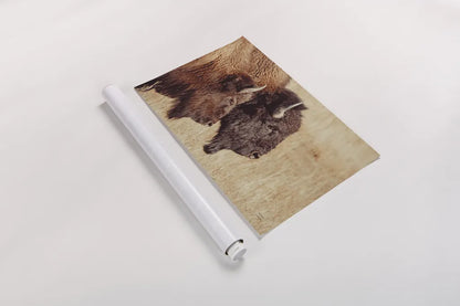 Bison Pair by Nathan Larson. shown as a rolled paper print. Available as archival giclee rolled canvas, fine art paper, or poster print. SKU 87941i.