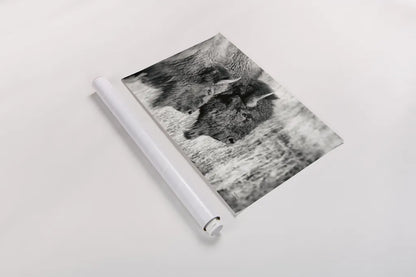 Bison Pair BW by Nathan Larson. shown as a rolled paper print. Available as archival giclee rolled canvas, fine art paper, or poster print. SKU 87942i.