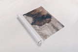 Bison Profile by Nathan Larson. shown as a rolled paper print. Available as archival giclee rolled canvas, fine art paper, or poster print. SKU 84255i.