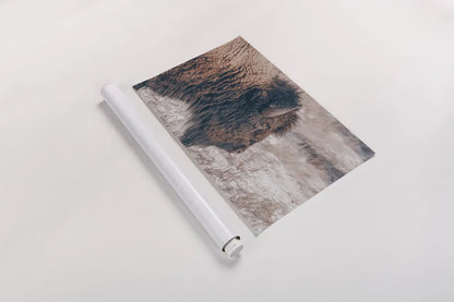 Bison Profile by Nathan Larson. shown as a rolled paper print. Available as archival giclee rolled canvas, fine art paper, or poster print. SKU 84255i.