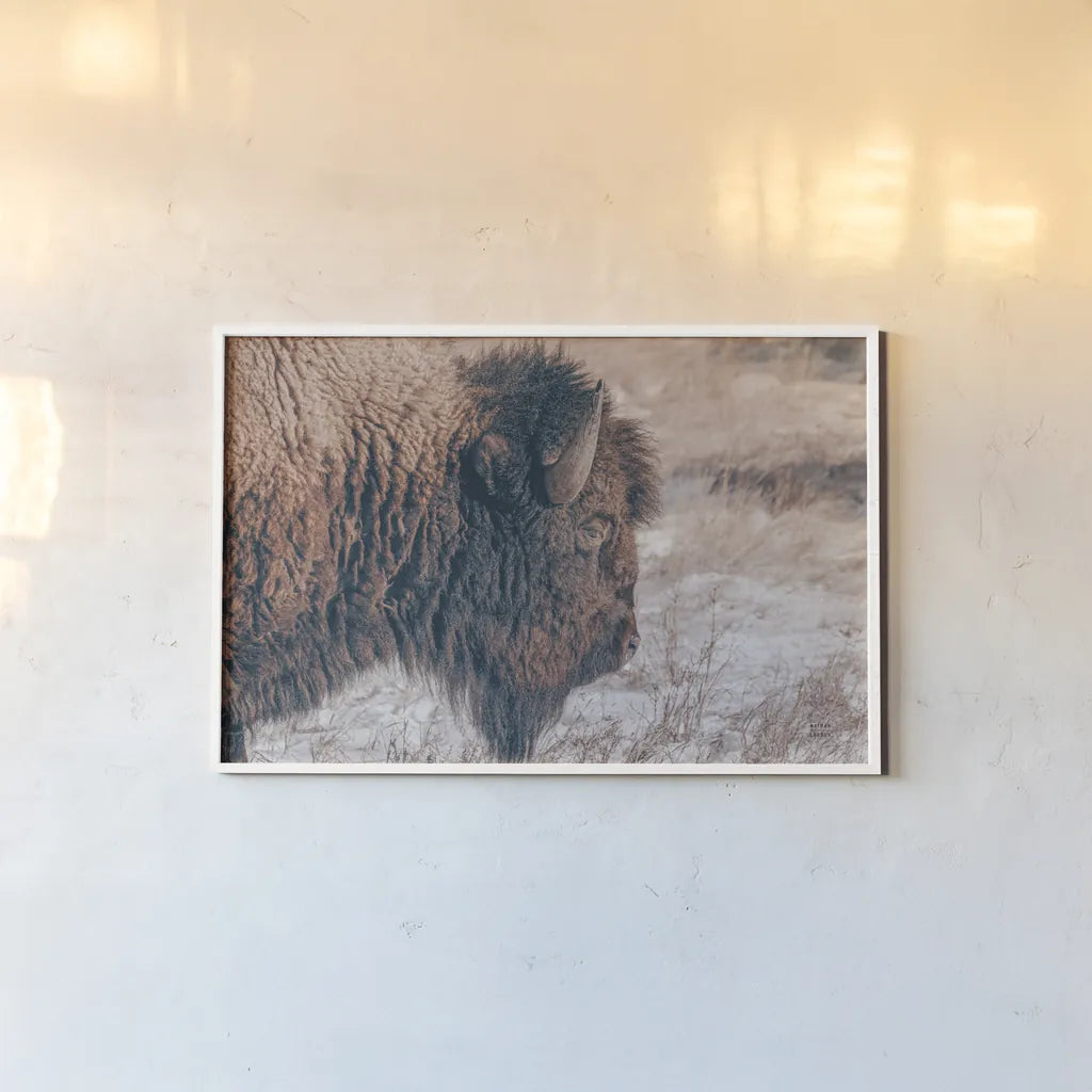 Bison Profile by Nathan Larson. shown as a paper print in a white frame. Available as a archival giclee rolled canvas, fine art paper, or poster print. SKU 84255i.