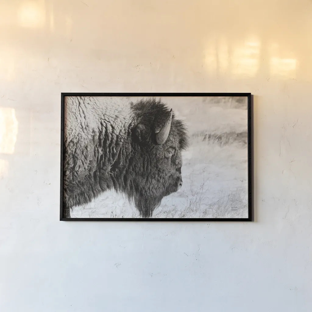 Bison Profile BW by Nathan Larson. shown as a paper print in a black flame. Available as a archival giclee rolled canvas, fine art paper, or poster print. SKU 84256i.