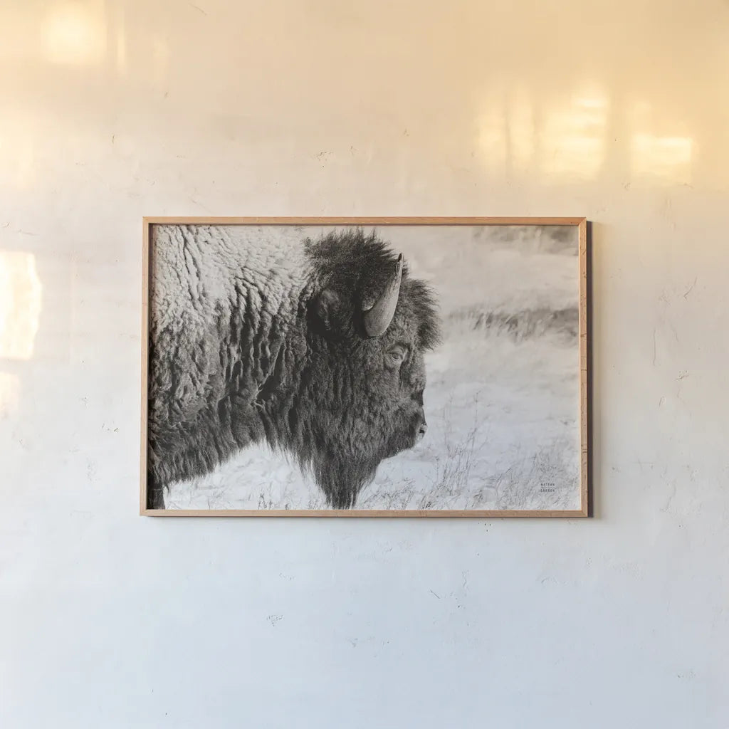 Bison Profile BW by Nathan Larson. shown as a paper print in a natural frame. Available as a archival giclee rolled canvas, fine art paper, or poster print. SKU 84256i.