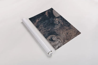 Bison Stare by Nathan Larson. shown as a rolled paper print. Available as archival giclee rolled canvas, fine art paper, or poster print. SKU 87947i.