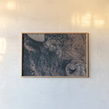 Bison Stare by Nathan Larson. shown as a paper print in a natural frame. Available as a archival giclee rolled canvas, fine art paper, or poster print. SKU 87947i.