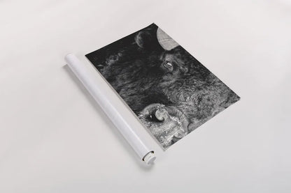 Bison Stare BW by Nathan Larson. shown as a rolled paper print. Available as archival giclee rolled canvas, fine art paper, or poster print. SKU 87948i.