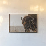 Bison Sunset by Nathan Larson. shown as a paper print in a black flame. Available as a archival giclee rolled canvas, fine art paper, or poster print. SKU 98333i.