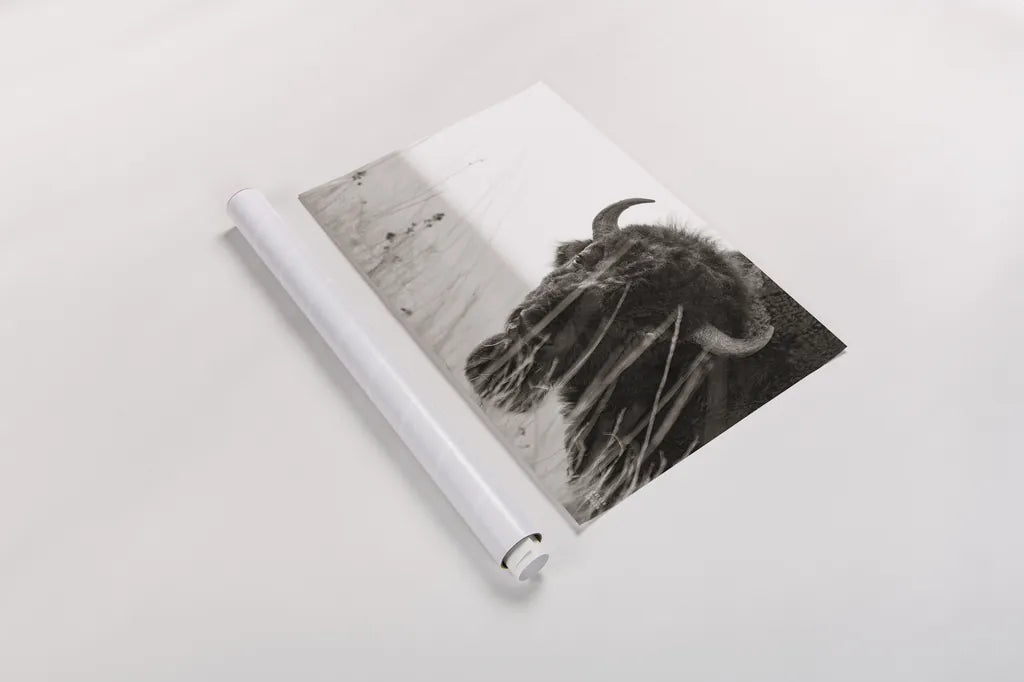 Bison Sunset BW by Nathan Larson. shown as a rolled paper print. Available as archival giclee rolled canvas, fine art paper, or poster print. SKU 98334i.