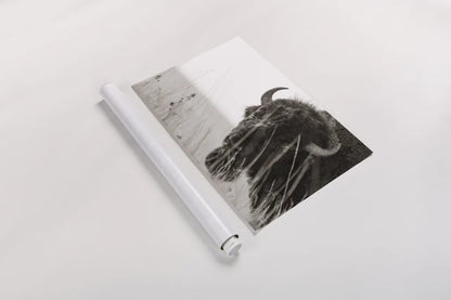 Bison Sunset BW by Nathan Larson. shown as a rolled paper print. Available as archival giclee rolled canvas, fine art paper, or poster print. SKU 98334i.