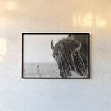 Bison Sunset BW by Nathan Larson. shown as a paper print in a black flame. Available as a archival giclee rolled canvas, fine art paper, or poster print. SKU 98334i.