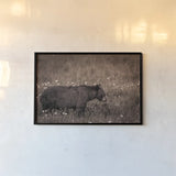 Black Bear Meadow by Nathan Larson. shown as a paper print in a black flame. Available as a archival giclee rolled canvas, fine art paper, or poster print. SKU 99368i.