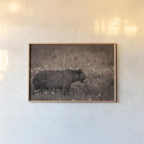Black Bear Meadow by Nathan Larson. shown as a paper print in a natural frame. Available as a archival giclee rolled canvas, fine art paper, or poster print. SKU 99368i.
