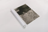Black Bear Wander by Nathan Larson. shown as a rolled paper print. Available as archival giclee rolled canvas, fine art paper, or poster print. SKU 100753i.