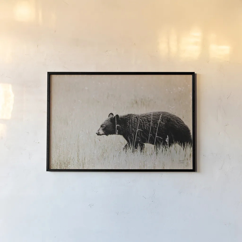 Black Bear in British Columbia by Nathan Larson. shown as a paper print in a black flame. Available as a archival giclee rolled canvas, fine art paper, or poster print. SKU 93387i.