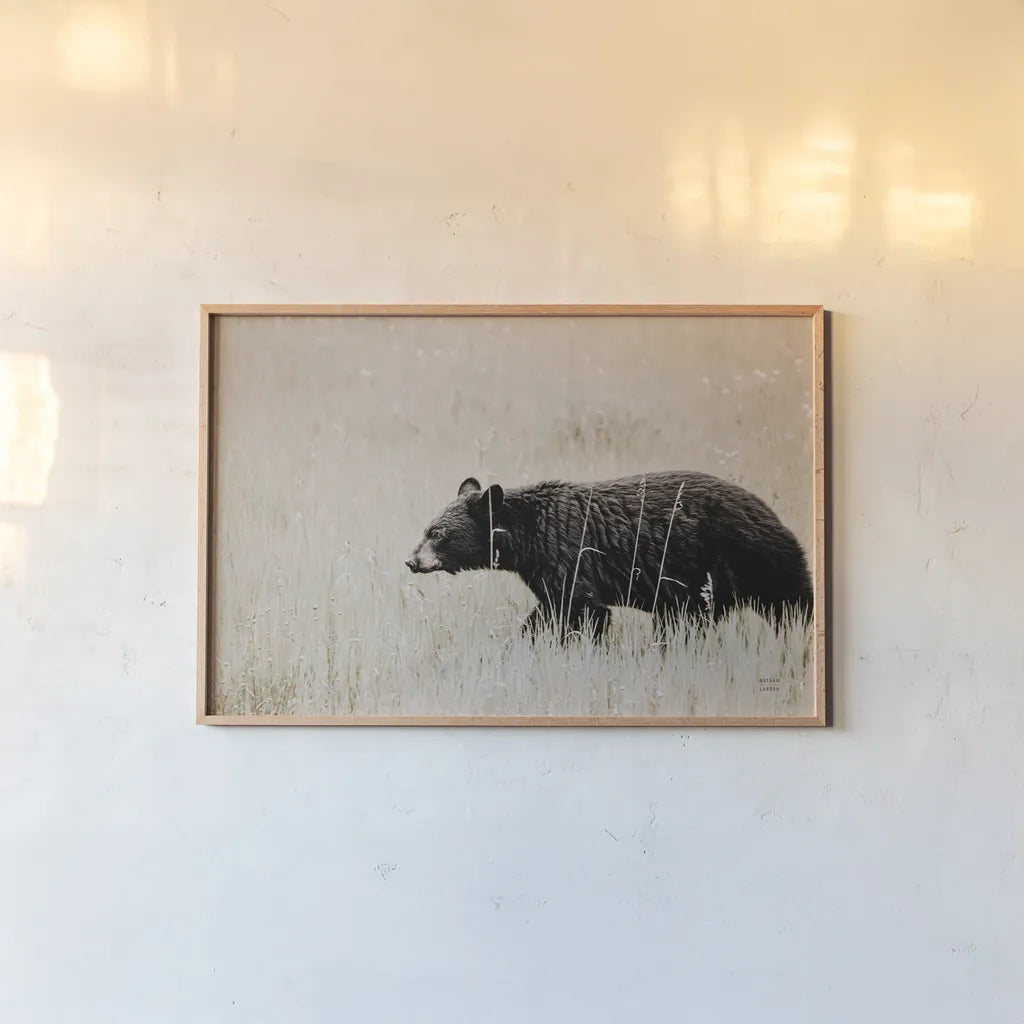 Black Bear in British Columbia by Nathan Larson. shown as a paper print in a natural frame. Available as a archival giclee rolled canvas, fine art paper, or poster print. SKU 93387i.