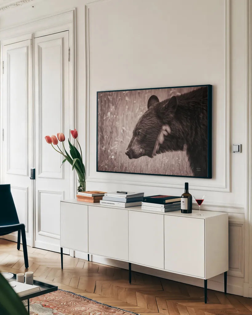 Black Bear in British Columbia Sepia Tones by Nathan Larson. shown as a framed stretched canvas in a living room above a console. Available as a archival giclee rolled canvas, fine art paper, or poster print. SKU 93386i.