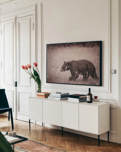 Black Bear in British Columbia Sepia Tones by Nathan Larson. shown as a framed stretched canvas in a living room above a console. Available as a archival giclee rolled canvas, fine art paper, or poster print. SKU 93388i.