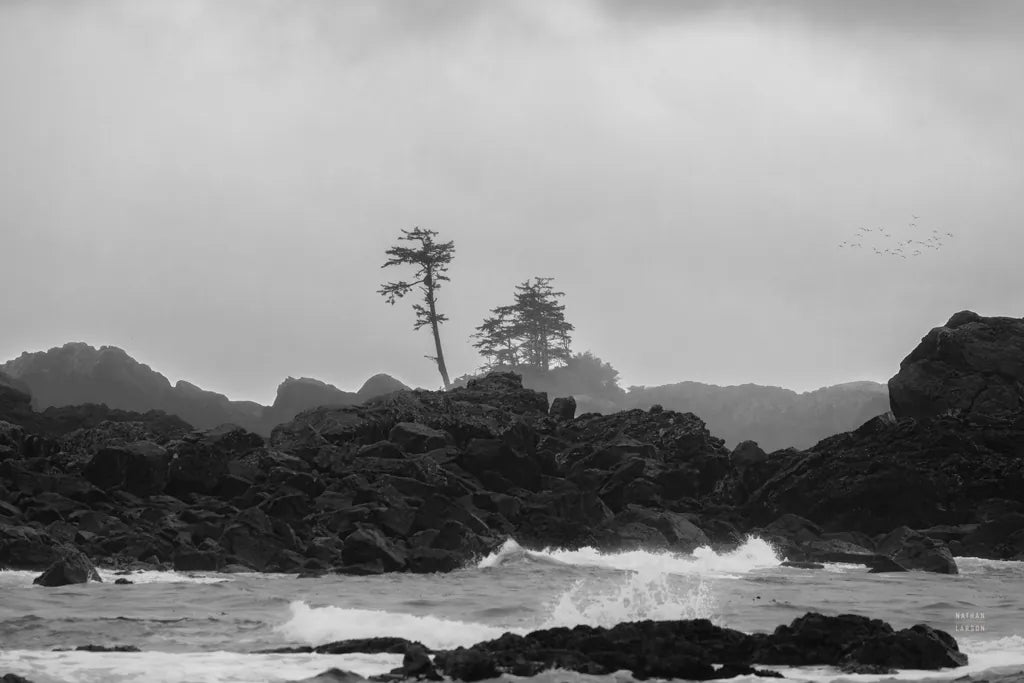 Black Rock Coast I by Nathan Larson. SKU 90182i. Archival Giclee Fine art print for wall decor.