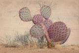 Border Sunset I by Nathan Larson. SKU 102776i. Archival Giclee Fine art print for wall decor.