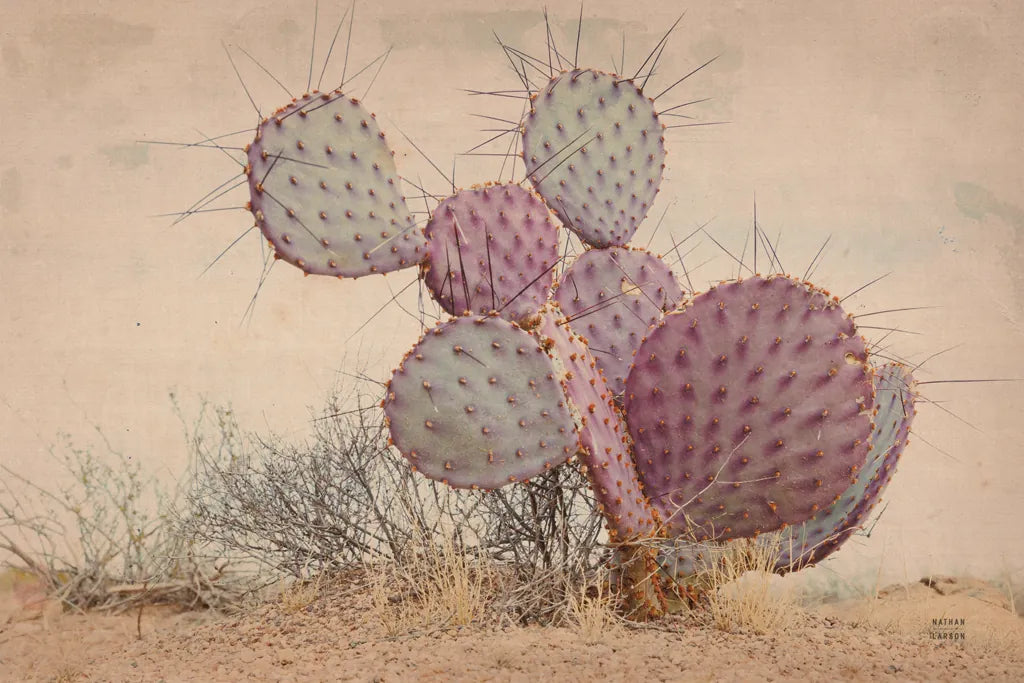 Border Sunset I by Nathan Larson. SKU 102776i. Archival Giclee Fine art print for wall decor.