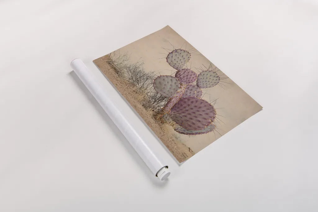 Border Sunset I by Nathan Larson. shown as a rolled paper print. Available as archival giclee rolled canvas, fine art paper, or poster print. SKU 102776i.