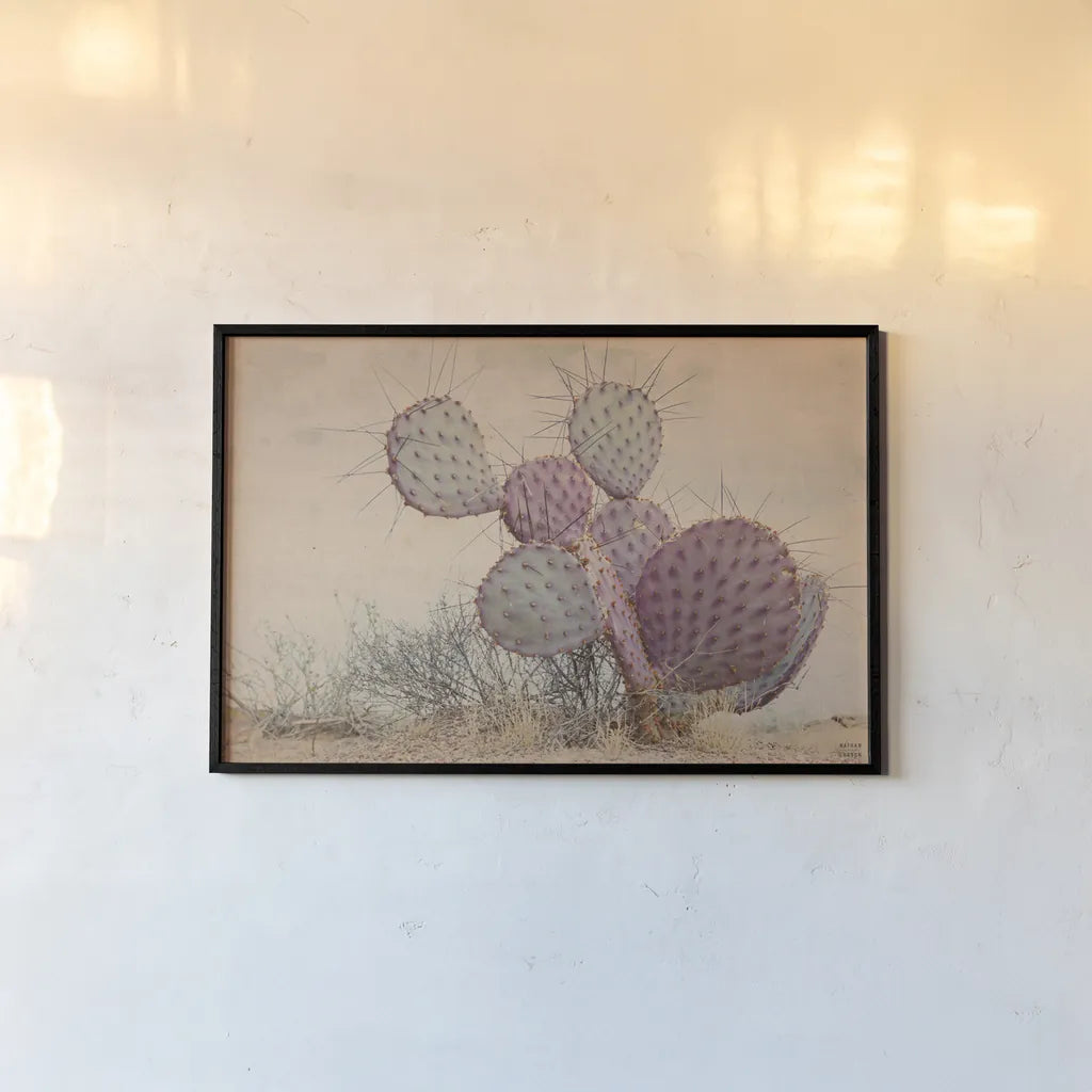 Border Sunset I by Nathan Larson. shown as a paper print in a black flame. Available as a archival giclee rolled canvas, fine art paper, or poster print. SKU 102776i.