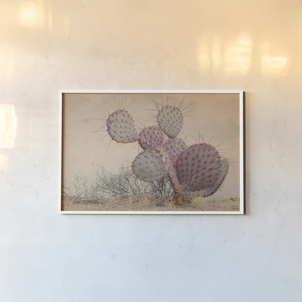 Border Sunset I by Nathan Larson. shown as a paper print in a white frame. Available as a archival giclee rolled canvas, fine art paper, or poster print. SKU 102776i.