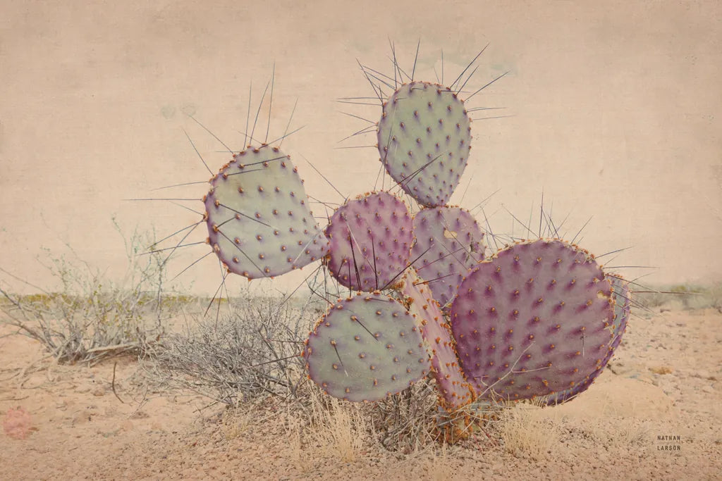 Border Sunset II by Nathan Larson. SKU 102777i. Archival Giclee Fine art print for wall decor.