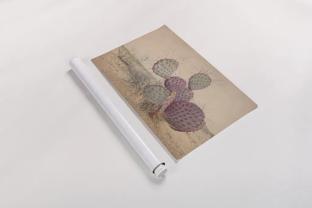 Border Sunset II by Nathan Larson. shown as a rolled paper print. Available as archival giclee rolled canvas, fine art paper, or poster print. SKU 102777i.