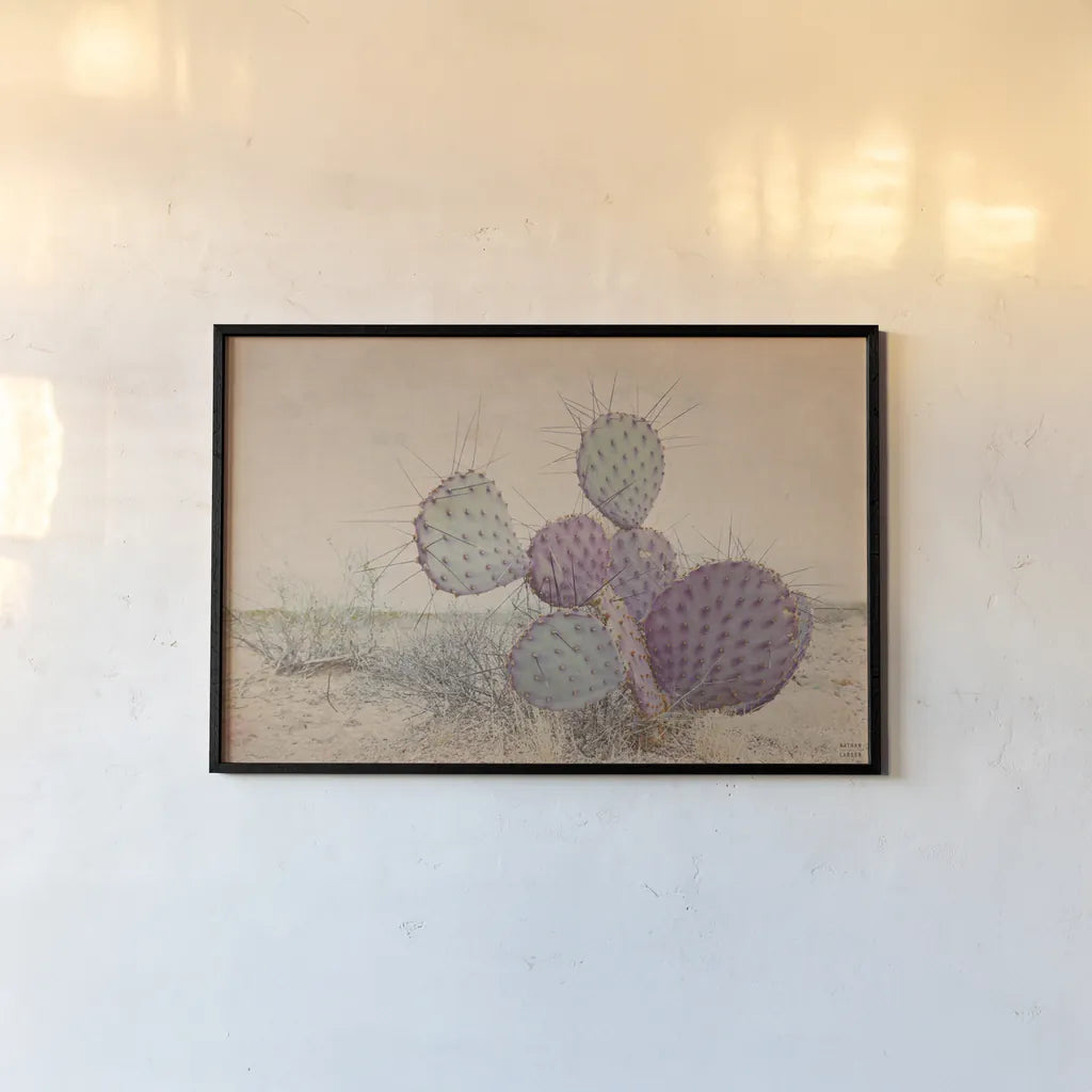 Border Sunset II by Nathan Larson. shown as a paper print in a black flame. Available as a archival giclee rolled canvas, fine art paper, or poster print. SKU 102777i.