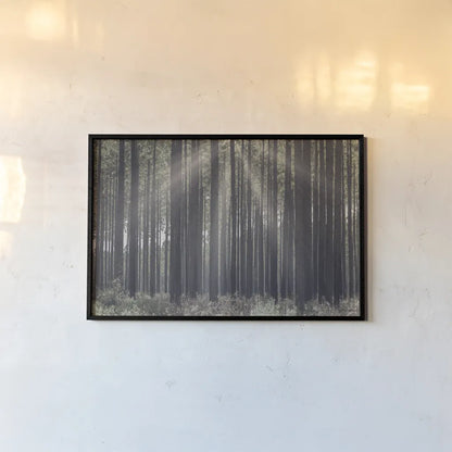 Bring Me In by Nathan Larson. shown as a paper print in a black flame. Available as a archival giclee rolled canvas, fine art paper, or poster print. SKU 97892i.