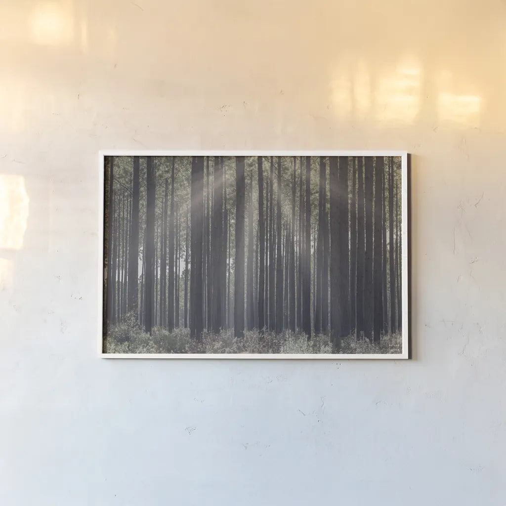 Bring Me In by Nathan Larson. shown as a paper print in a white frame. Available as a archival giclee rolled canvas, fine art paper, or poster print. SKU 97892i.