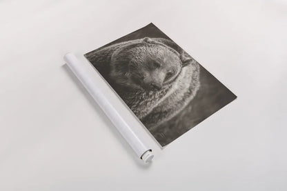 British Columbia Grizzly Sepia by Nathan Larson. shown as a rolled paper print. Available as archival giclee rolled canvas, fine art paper, or poster print. SKU 92566i.