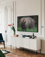 British Columbia Grizzly in a Field by Nathan Larson. shown as a framed stretched canvas in a living room above a console. Available as a archival giclee rolled canvas, fine art paper, or poster print. SKU 92562i.
